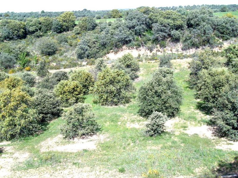 Foto a7d7cbfa-a16c-4d6a-8349-e955eb7b3c34. Terreno residencial en Barbastro