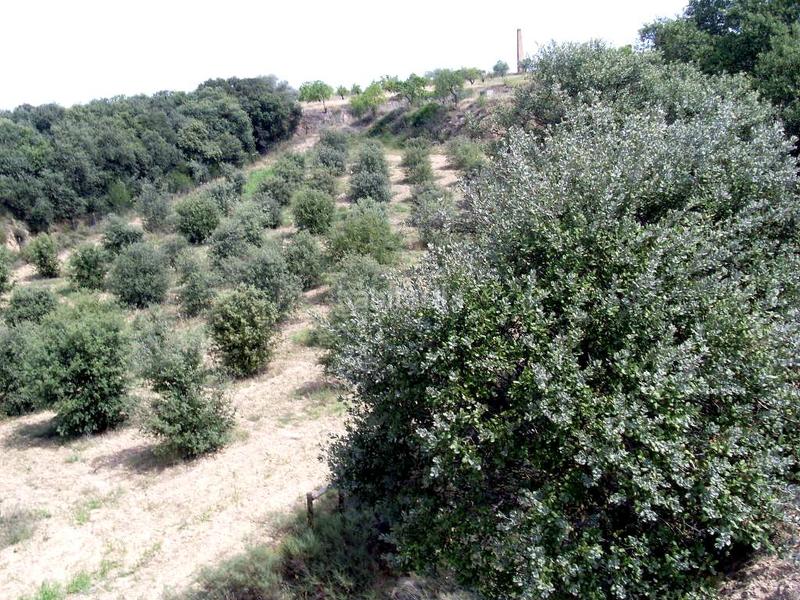 Foto f99a87fe-e079-4d74-9933-cb5ebb5fc42f. Terreno residencial en Barbastro