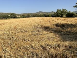Terreny residencial a Grado (El)