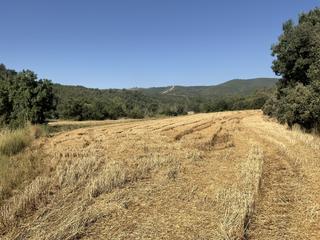 Terrain résidentiel à Olvena