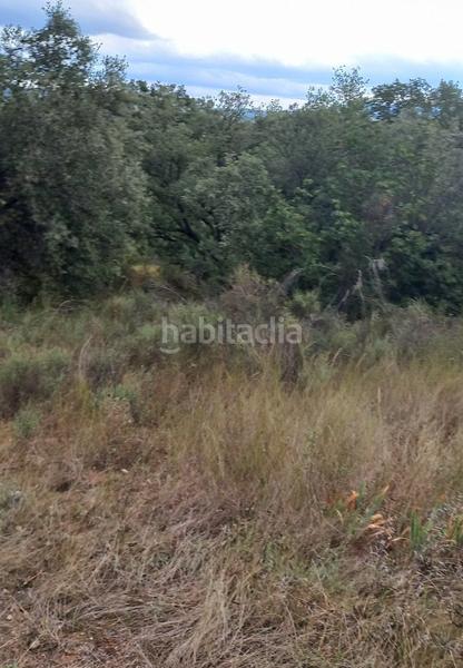 Foto 1f09a1d1-ba47-4aad-9a29-d6137f5d4fed. Terreno residencial en Grado (El)