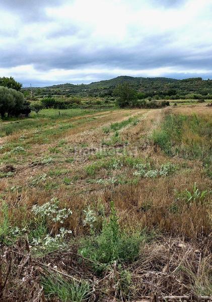 Foto 79e7c995-adf6-4b45-b35d-f3317825d818. Terreno residencial en Grado (El)