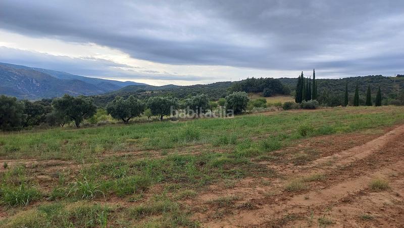 Foto ab66d3c8-e311-47ef-ba4d-50fc1a1f52b5. Terreno residencial en Grado (El)