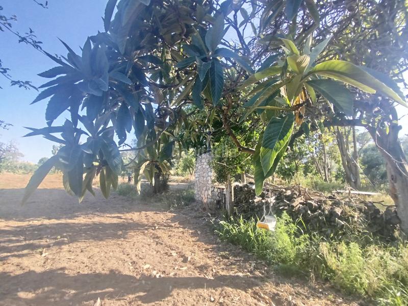 Foto bbf712f3-9d35-4acb-9b1b-0a84f183e00e. Terreny residencial a Binéfar