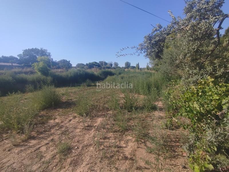 Foto fd9116c0-fc84-49a1-ad78-02cefc535c0d. Terreny residencial a Binéfar