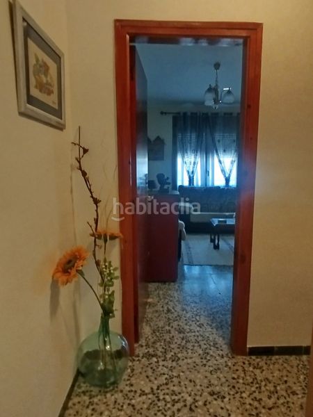 Foto 3d7e17d3-a129-4a91-9325-13cba7613ff2. Pis a Alfarràs