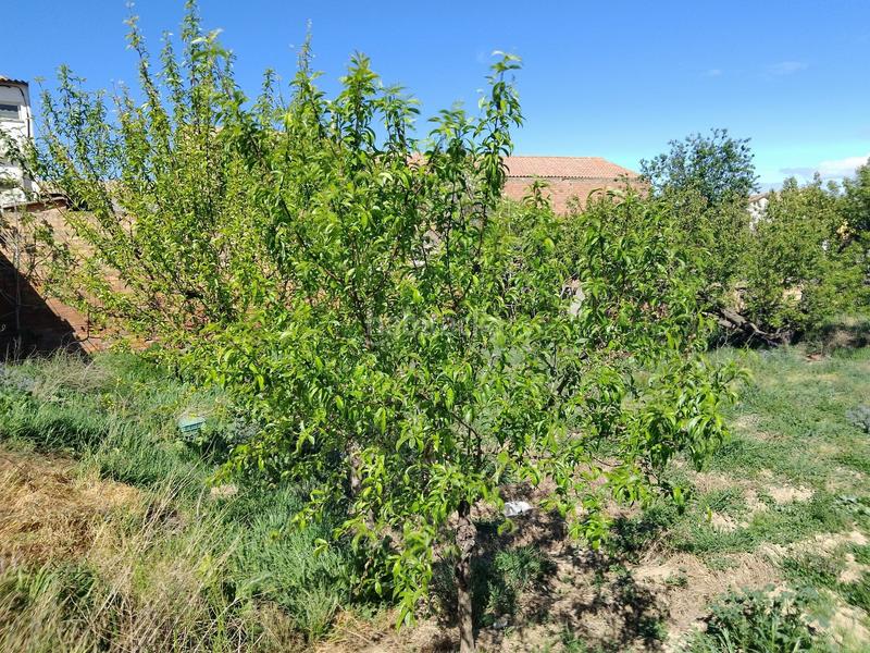 Foto 091a6b21-390e-4e9a-9ed2-4e209736bc89. Terreno residencial en Binaced