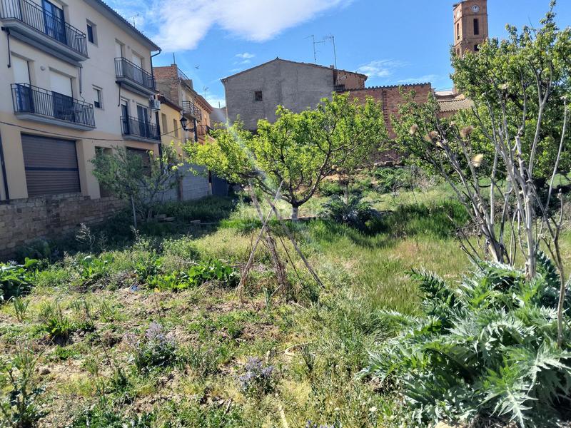 Foto 1574a095-ae39-4b9f-9440-bbb340e9f4df. Terreno residencial en Binaced