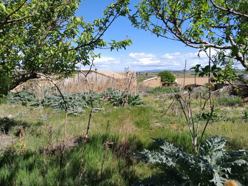 Foto ed066372-8929-4a2c-b234-f2d8e41f016e. Terreno residencial en Binaced