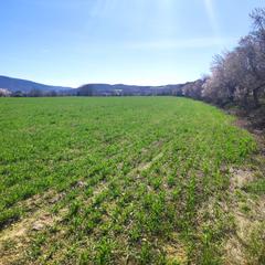 Residential Plot in Grado (El)