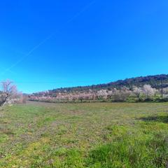 Terreny residencial a Grado (El)