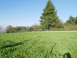 Residential Plot  Aldea las cruces