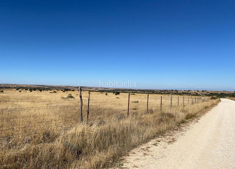 Foto 7849c1cd-8dd5-4153-a5bc-ff19ec603c52. Residential plot in Pelayos del Arroyo