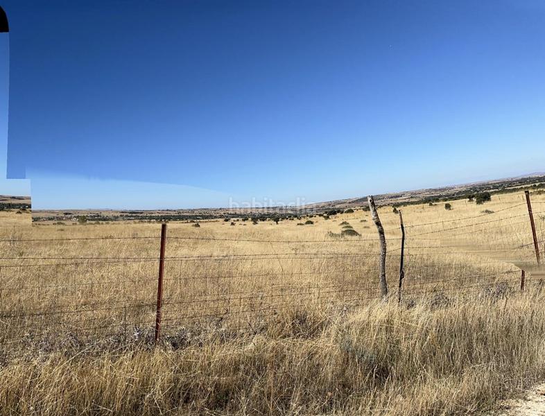 Foto bf324c87-2e39-414a-a37b-2f745e99b796. Residential plot in Pelayos del Arroyo