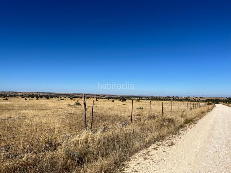 Foto e37eecd8-f28d-441d-b74c-1a9e3234cb7d. Residential plot in Pelayos del Arroyo