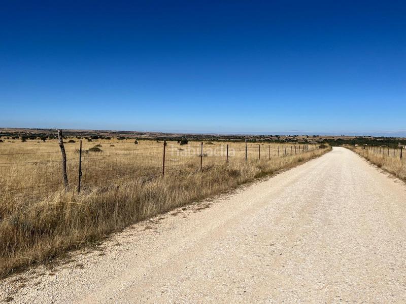 Foto e99233ab-a67e-4555-aaf4-8b31fa58edcf. Residential plot in Pelayos del Arroyo