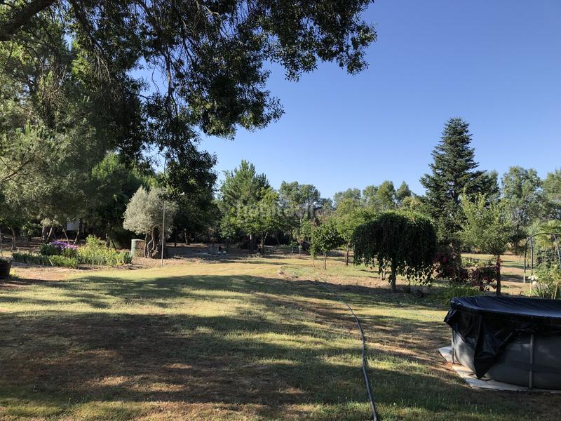 Foto f944a020-9863-4051-8b0a-319645bdeb39. Maison avec parking piscine dans Pelayos del Arroyo