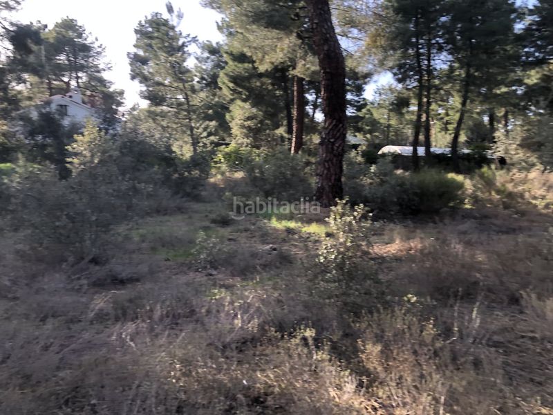 Foto a4dc15a1-5ce6-4099-b703-c6d3153ab56e. Terreny residencial a Marugán