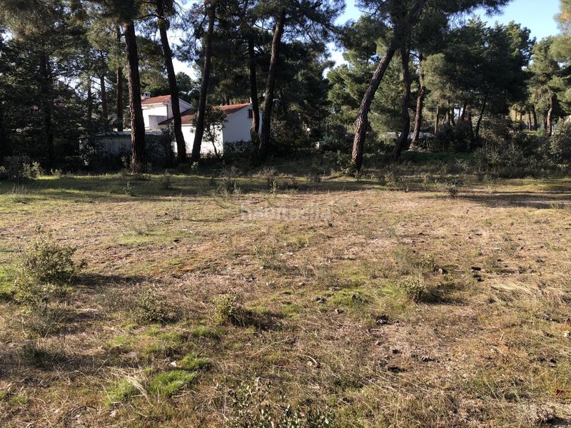 Foto f3012523-66e4-4f17-a7b5-f89198abb285. Terreny residencial a Marugán