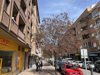 Locale commerciale in Ezequiel González - Conde de Sepúlveda. Local comercial en venta en segovia josé zorrila  beneficios y v