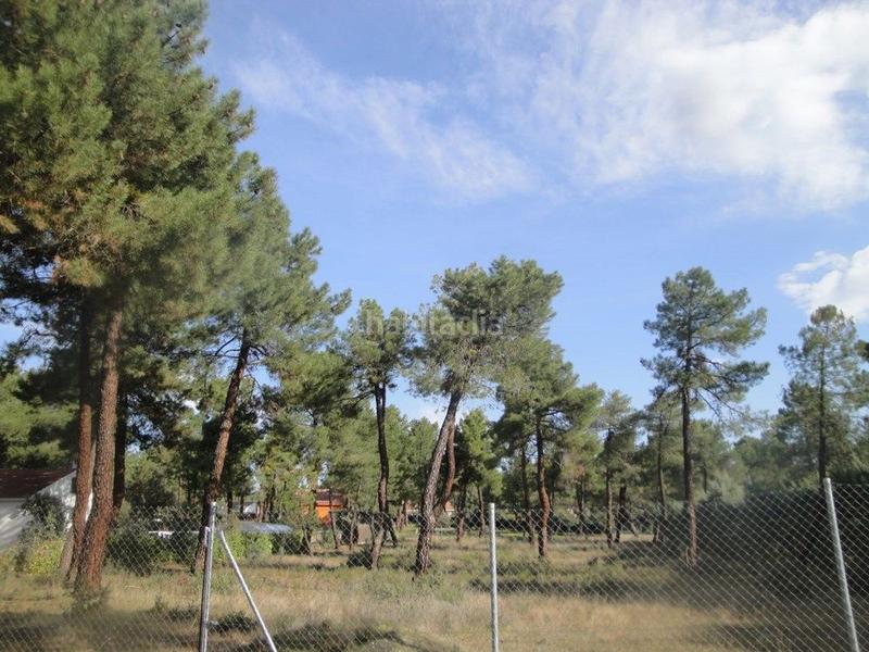 Foto b36095ce-e7ab-42f5-bbcf-406034b1e25e. Terreno residencial en Marugán