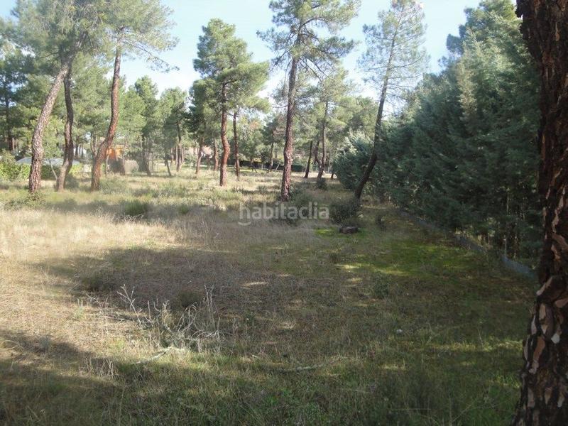 Foto e87a246e-5756-4883-91e1-a5ca98b7f105. Terreno residencial en Marugán