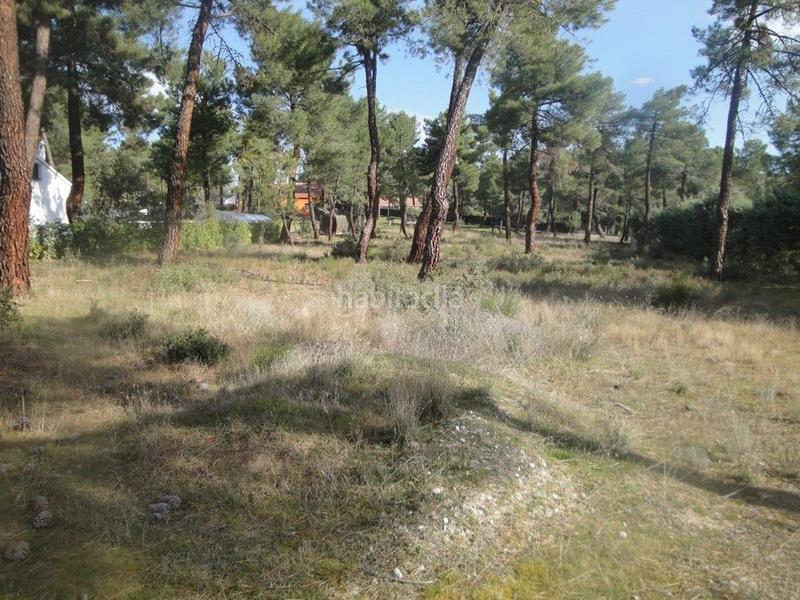 Foto f7fd8f70-9485-4c17-8885-9abcfe5ff5c1. Terreno residencial en Marugán