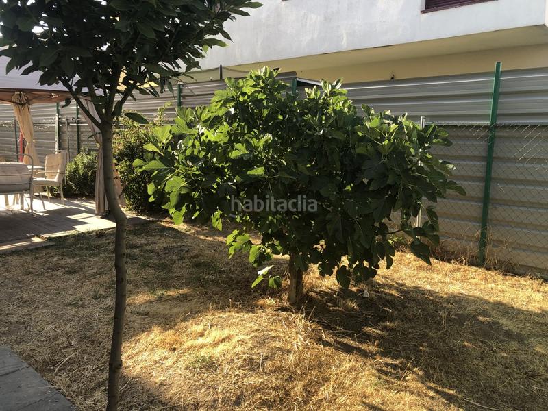 Foto dba8950c-a1c8-4f0b-96d5-18bb17808834. Casa pareada pareado en venta tizneros segovia beneficios y virtudes la amplitud la luminosidad la tranquilidad el ahorro con la bonificación d en Espirdo