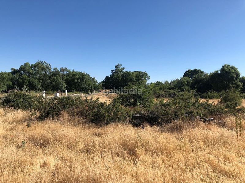 Foto b7279ef3-9fdf-43c6-af40-a8518559dd5a. Terreny residencial a Trescasas