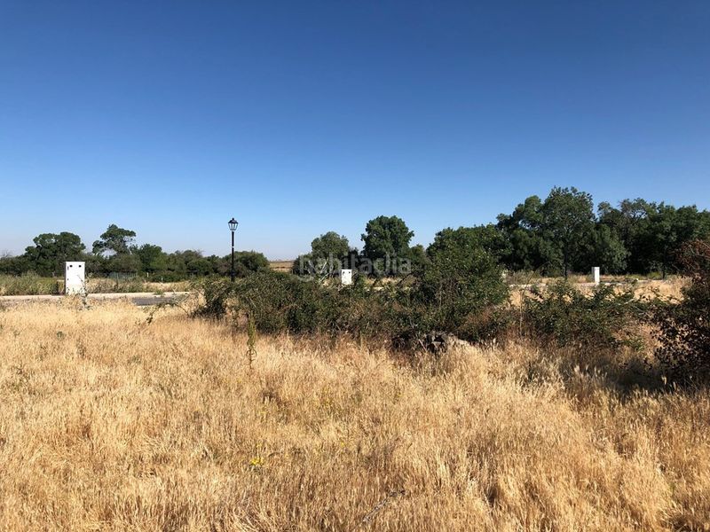 Foto ec1559f8-e244-4b2e-8582-105daa3886d6. Terreny residencial a Trescasas