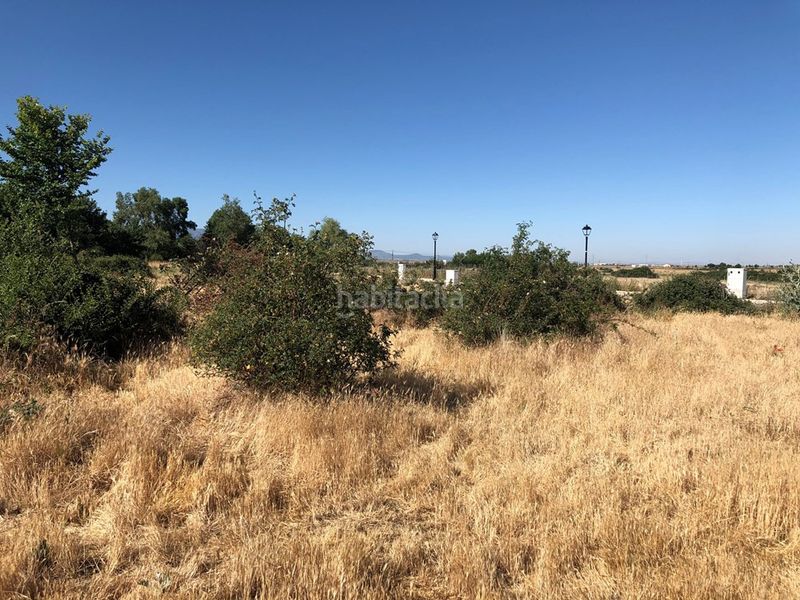 Foto ee43e160-c4b7-4fd1-804d-9dc07749c00c. Terreny residencial a Trescasas