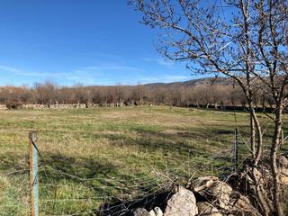 Residential Plot in Trescasas