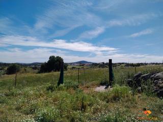 Terreny residencial a Aljucén. Aljucénterreno