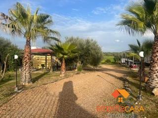 Mas à Valverde de Mérida. Valverde de méridafinca de recreo