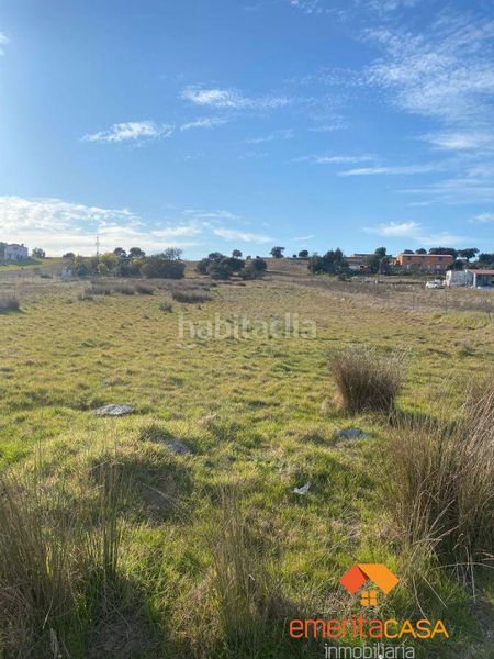 Foto b400850e-4e3a-44c1-8e98-6796a29c50a7. Terreny residencial a Esparragalejo