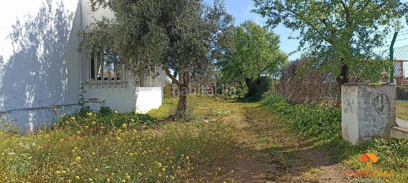 Foto 0a22f5bf-9328-42f6-898a-0722653469e6. Chalet  en Almendralejo
