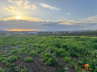 Terreny residencial a Sur. Méridaterreno