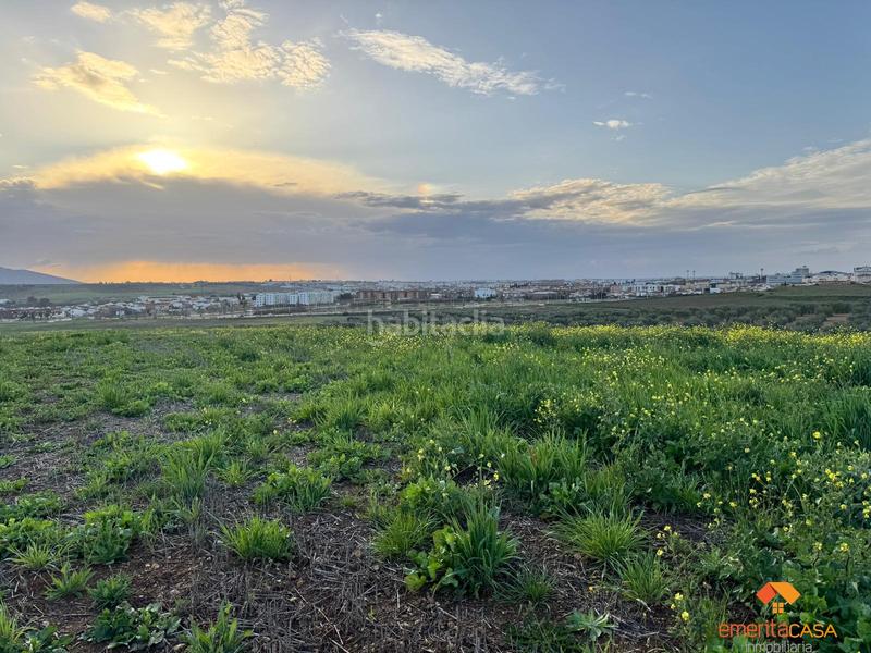 Foto 2cbc7c4d-930f-429c-8f7e-4795236afbf2. Wohngrundstück in Sur Mérida