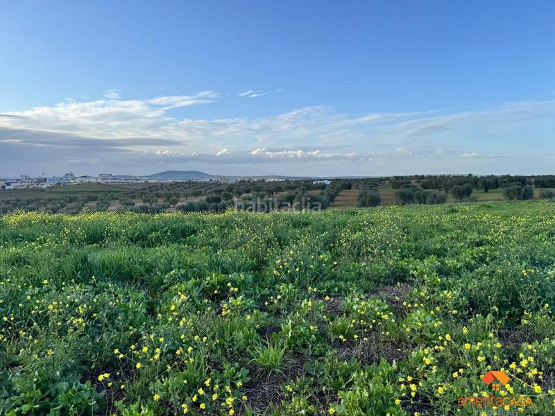 Foto 54474710-9f31-407e-8ac5-9e9168684205. Wohngrundstück in Sur Mérida