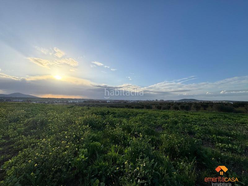 Foto 9460b67a-a1ba-4f72-953d-1582fa467ac6. Wohngrundstück in Sur Mérida