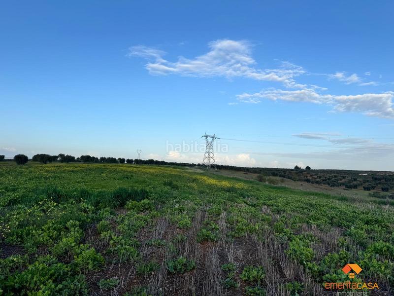 Foto ce6ef569-06fd-4c9b-8a86-454f84aafeed. Wohngrundstück in Sur Mérida