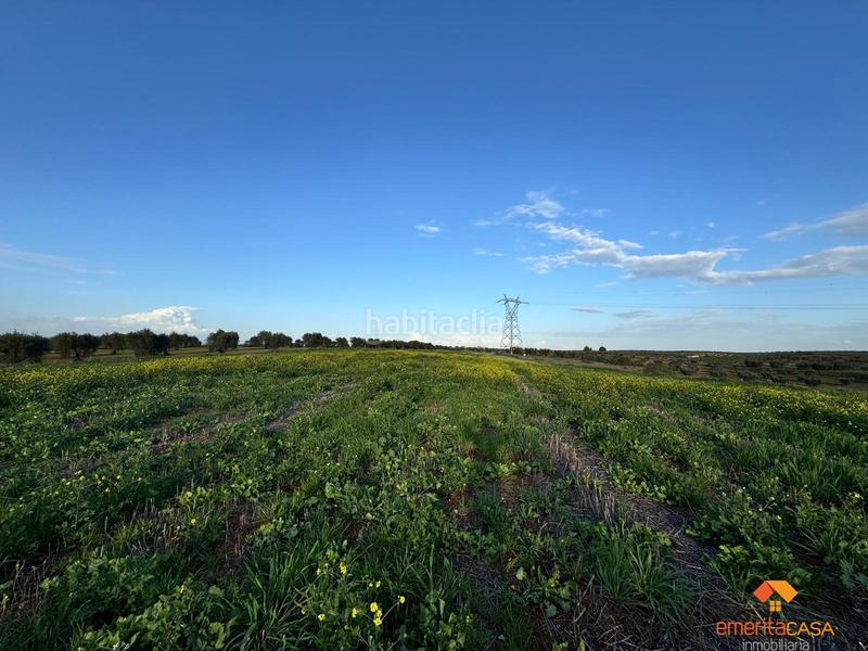 Foto d74e1f9e-438c-472e-8397-8ca85541060b. Wohngrundstück in Sur Mérida