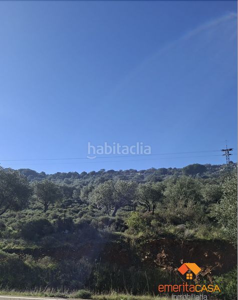 Foto 563b35ff-53f9-4bba-95de-c57cd0d936ed. Masia a Castuera