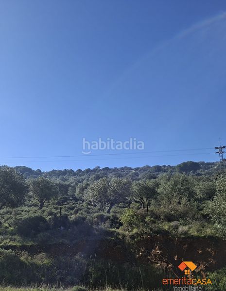 Foto 61faf457-69c2-46e5-86d7-428ac4b138c0. Masia a Castuera