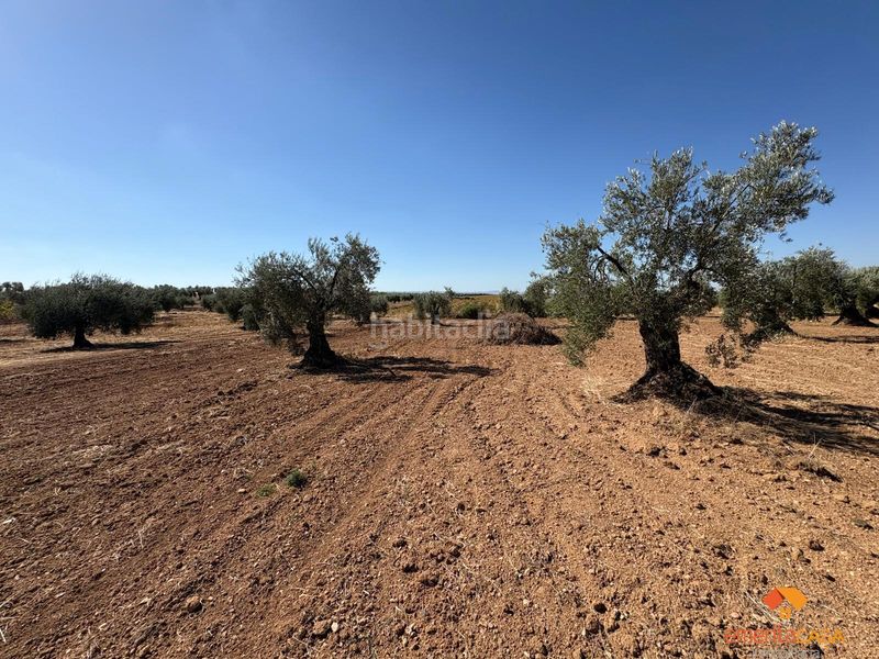 Foto 6d5e6705-996e-4dfb-8ac8-41265702f341. Terreny residencial a Almendralejo