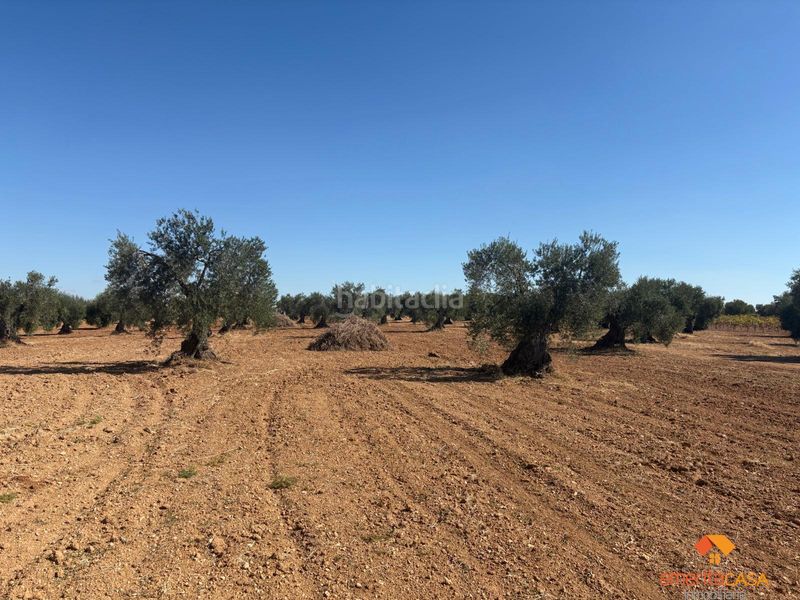 Foto a225c243-6497-48c6-8c09-b8defc4f8d6f. Terreny residencial a Almendralejo