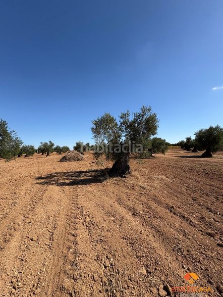 Foto b9ed1e57-58d4-4ddb-8af4-62e2691c7997. Terreny residencial a Almendralejo