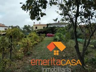 Masia a Campus Universitario