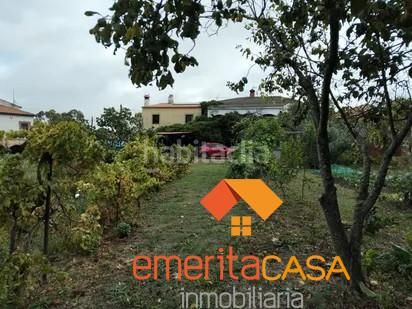 Foto 07876b30-d12e-4ecc-89d3-09e4aad668a3. Masía finca rustica en Campus Universitario Cáceres