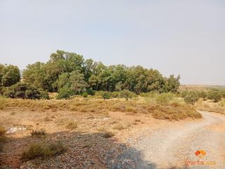 Terrain résidentiel à Oeste. Méridaterreno